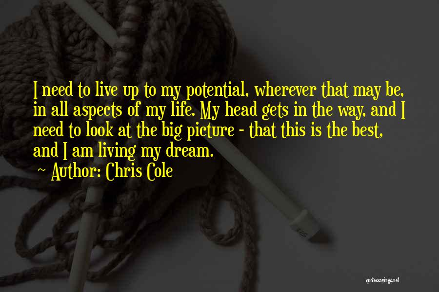 Chris Cole Quotes: I Need To Live Up To My Potential, Wherever That May Be, In All Aspects Of My Life. My Head