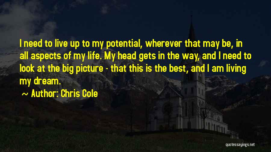 Chris Cole Quotes: I Need To Live Up To My Potential, Wherever That May Be, In All Aspects Of My Life. My Head