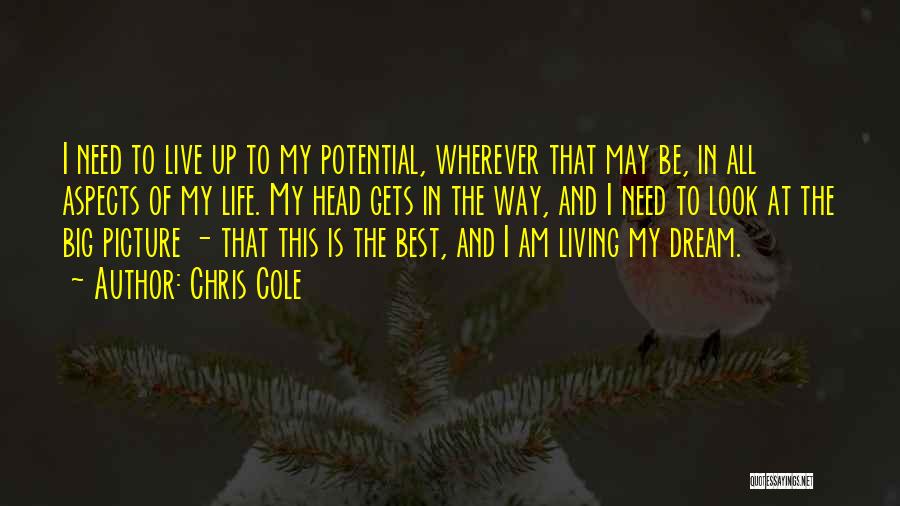 Chris Cole Quotes: I Need To Live Up To My Potential, Wherever That May Be, In All Aspects Of My Life. My Head