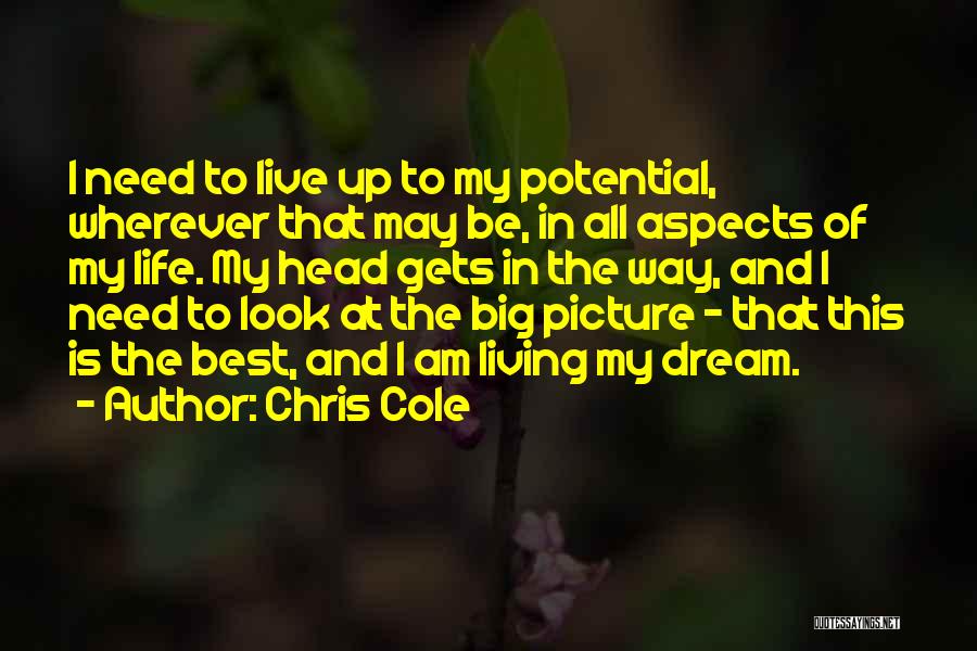 Chris Cole Quotes: I Need To Live Up To My Potential, Wherever That May Be, In All Aspects Of My Life. My Head