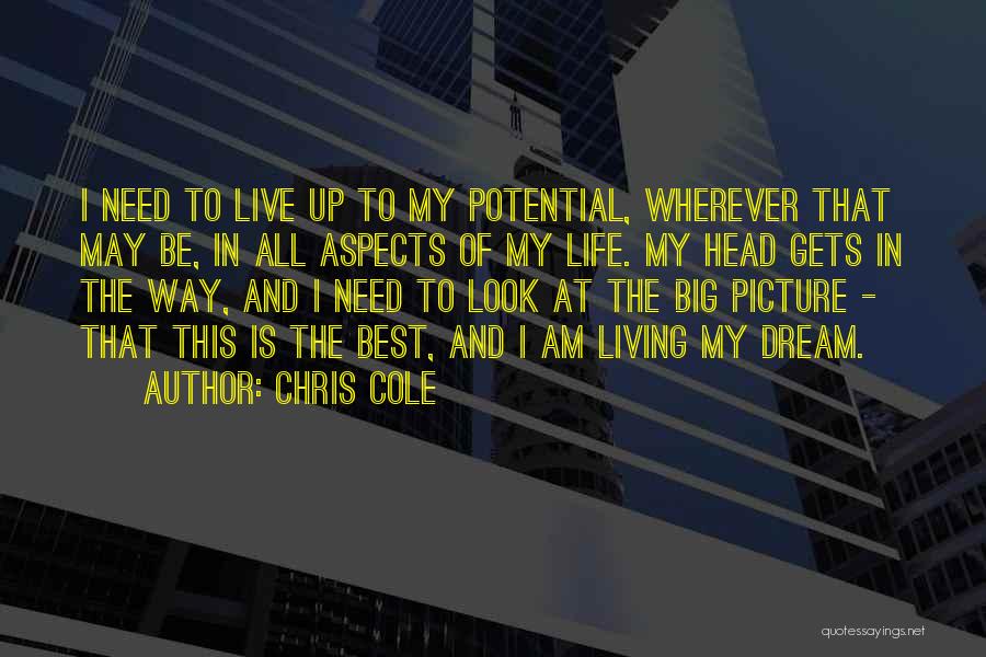 Chris Cole Quotes: I Need To Live Up To My Potential, Wherever That May Be, In All Aspects Of My Life. My Head