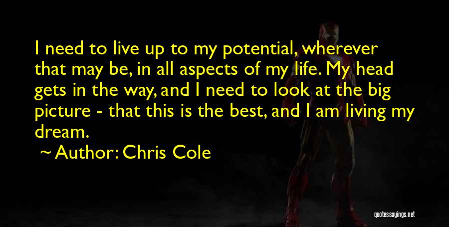 Chris Cole Quotes: I Need To Live Up To My Potential, Wherever That May Be, In All Aspects Of My Life. My Head