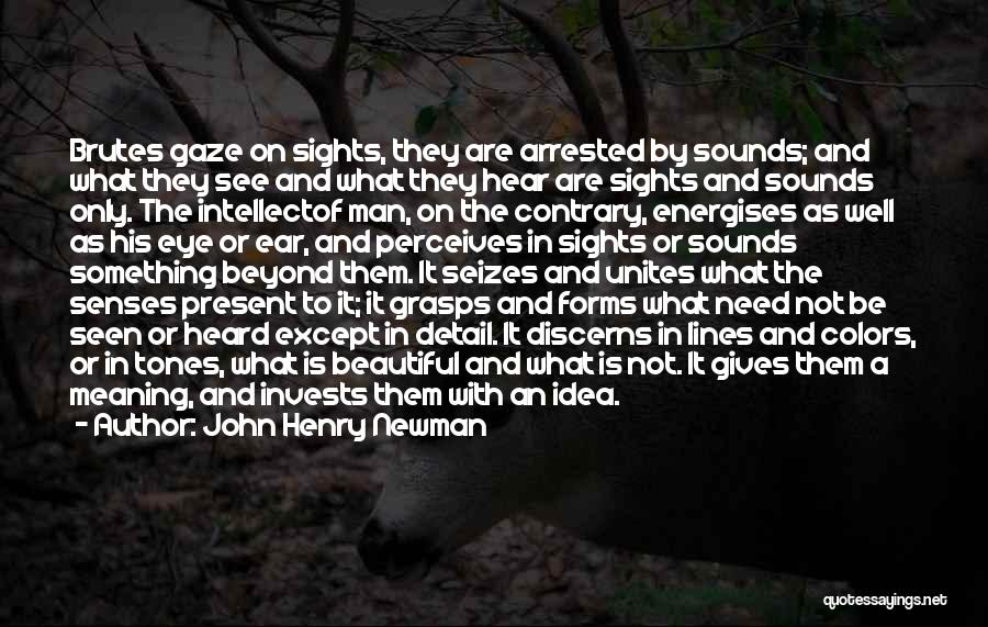 John Henry Newman Quotes: Brutes Gaze On Sights, They Are Arrested By Sounds; And What They See And What They Hear Are Sights And