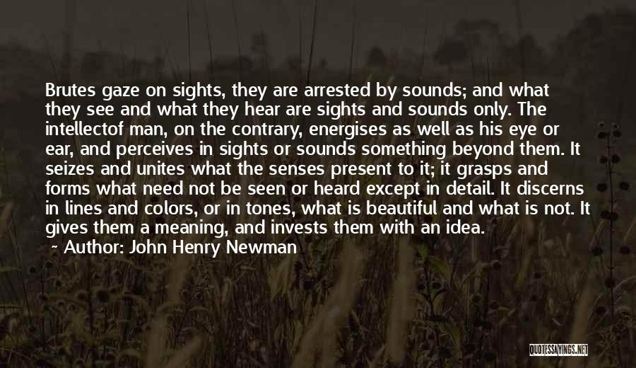 John Henry Newman Quotes: Brutes Gaze On Sights, They Are Arrested By Sounds; And What They See And What They Hear Are Sights And