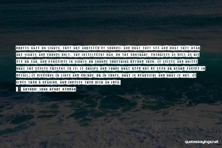 John Henry Newman Quotes: Brutes Gaze On Sights, They Are Arrested By Sounds; And What They See And What They Hear Are Sights And