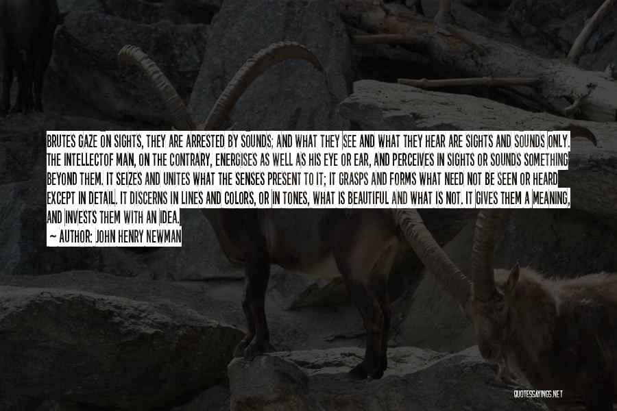 John Henry Newman Quotes: Brutes Gaze On Sights, They Are Arrested By Sounds; And What They See And What They Hear Are Sights And