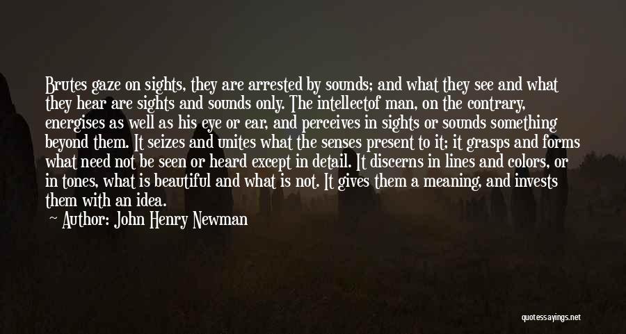 John Henry Newman Quotes: Brutes Gaze On Sights, They Are Arrested By Sounds; And What They See And What They Hear Are Sights And