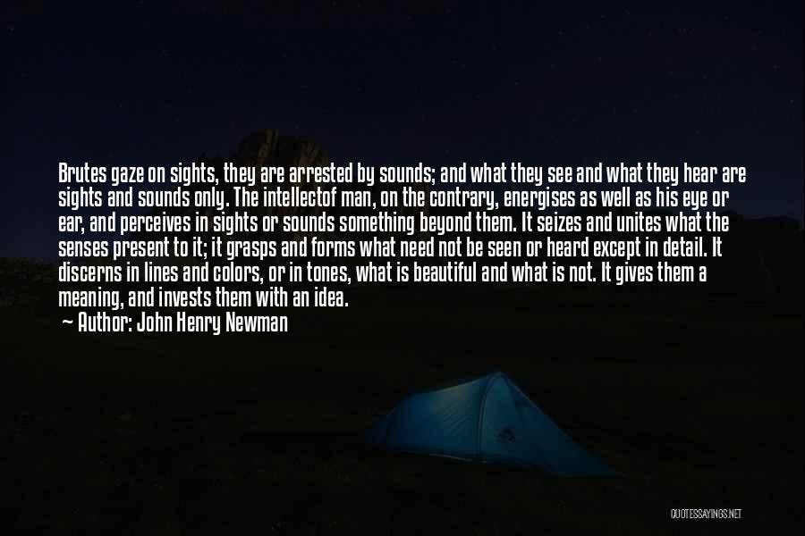 John Henry Newman Quotes: Brutes Gaze On Sights, They Are Arrested By Sounds; And What They See And What They Hear Are Sights And