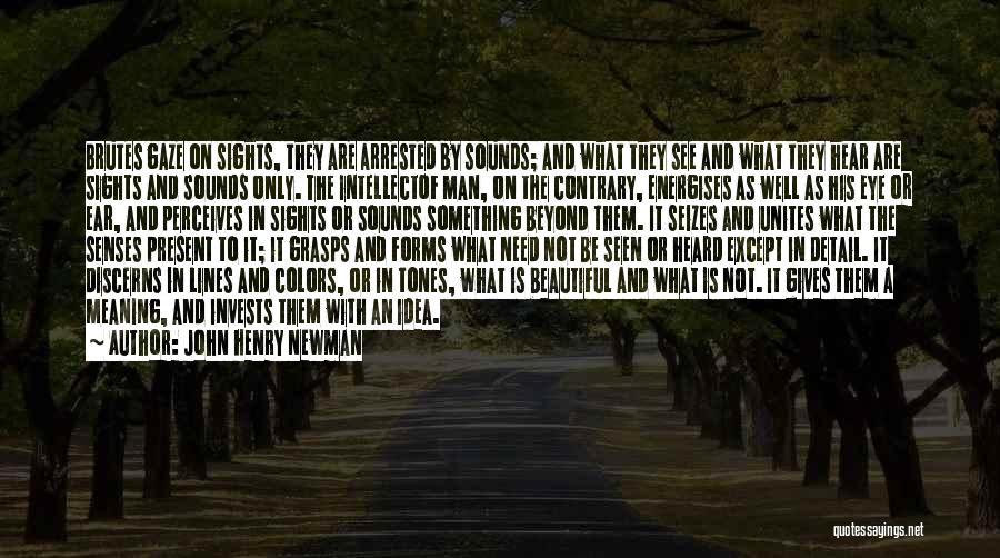 John Henry Newman Quotes: Brutes Gaze On Sights, They Are Arrested By Sounds; And What They See And What They Hear Are Sights And