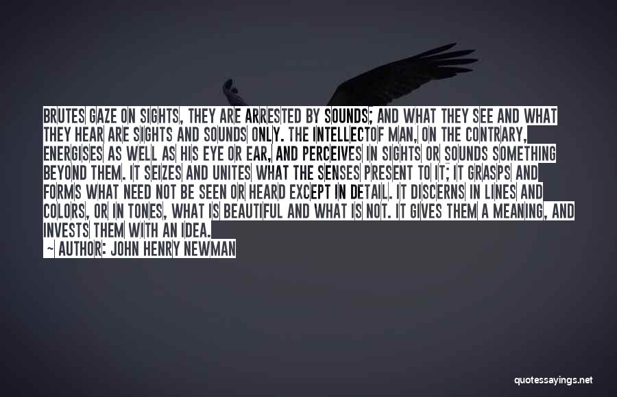 John Henry Newman Quotes: Brutes Gaze On Sights, They Are Arrested By Sounds; And What They See And What They Hear Are Sights And