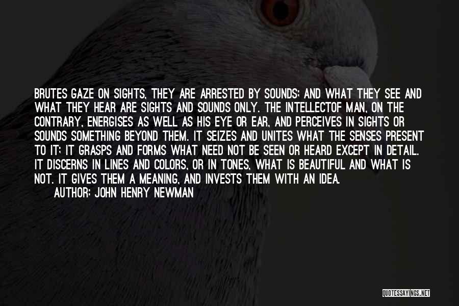 John Henry Newman Quotes: Brutes Gaze On Sights, They Are Arrested By Sounds; And What They See And What They Hear Are Sights And