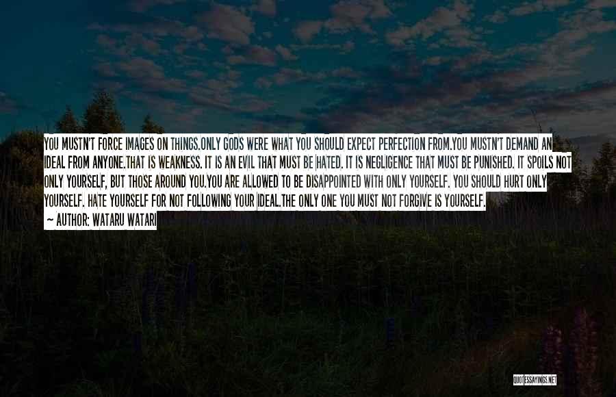 Wataru Watari Quotes: You Mustn't Force Images On Things.only Gods Were What You Should Expect Perfection From.you Mustn't Demand An Ideal From Anyone.that