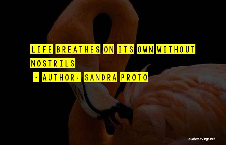 Sandra Proto Quotes: Life Breathes On Its Own Without Nostrils