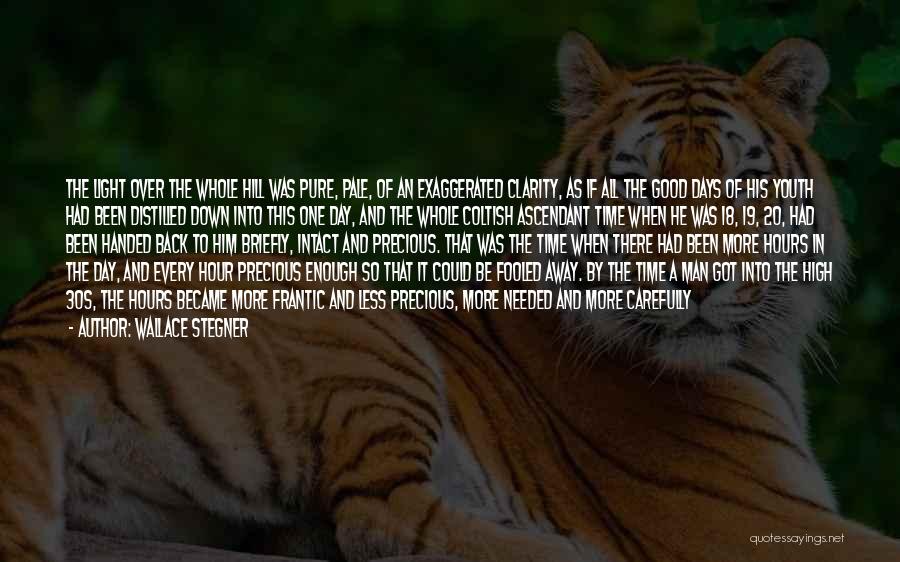 Wallace Stegner Quotes: The Light Over The Whole Hill Was Pure, Pale, Of An Exaggerated Clarity, As If All The Good Days Of