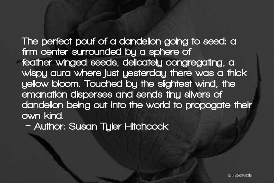 Susan Tyler Hitchcock Quotes: The Perfect Pouf Of A Dandelion Going To Seed: A Firm Center Surrounded By A Sphere Of Feather-winged Seeds, Delicately