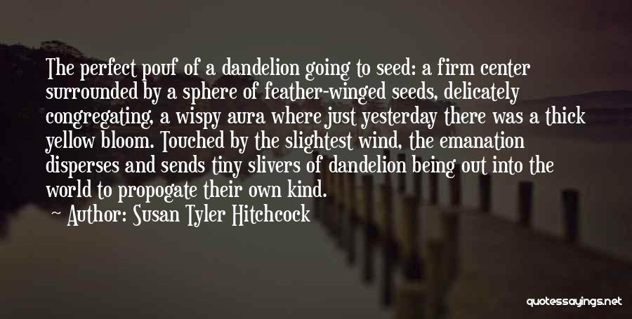 Susan Tyler Hitchcock Quotes: The Perfect Pouf Of A Dandelion Going To Seed: A Firm Center Surrounded By A Sphere Of Feather-winged Seeds, Delicately