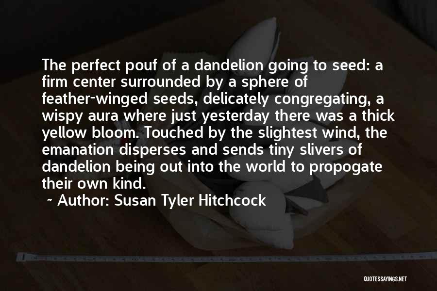 Susan Tyler Hitchcock Quotes: The Perfect Pouf Of A Dandelion Going To Seed: A Firm Center Surrounded By A Sphere Of Feather-winged Seeds, Delicately