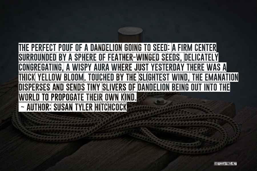 Susan Tyler Hitchcock Quotes: The Perfect Pouf Of A Dandelion Going To Seed: A Firm Center Surrounded By A Sphere Of Feather-winged Seeds, Delicately