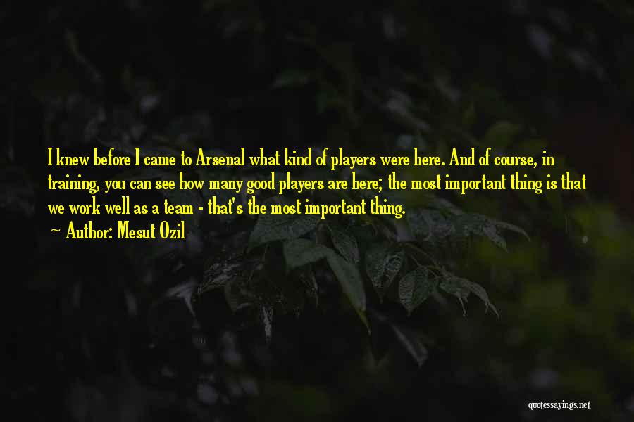 Mesut Ozil Quotes: I Knew Before I Came To Arsenal What Kind Of Players Were Here. And Of Course, In Training, You Can