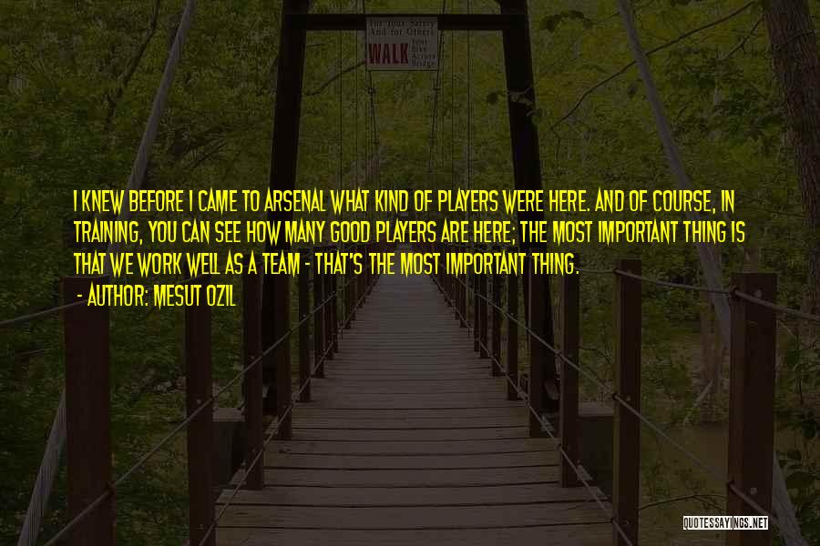 Mesut Ozil Quotes: I Knew Before I Came To Arsenal What Kind Of Players Were Here. And Of Course, In Training, You Can