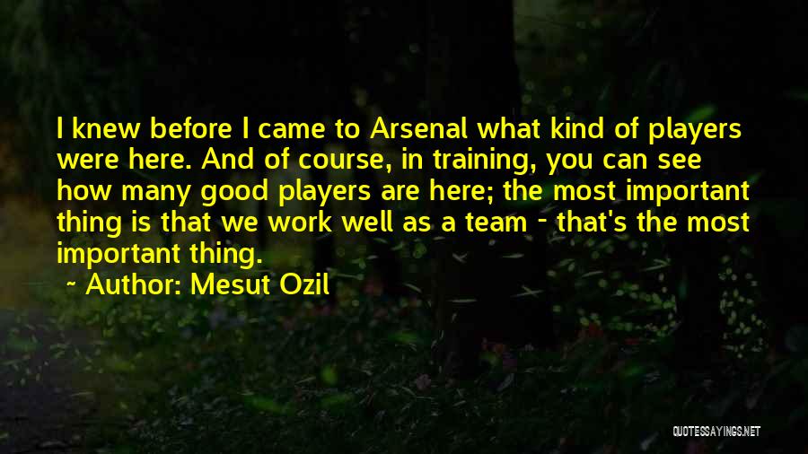 Mesut Ozil Quotes: I Knew Before I Came To Arsenal What Kind Of Players Were Here. And Of Course, In Training, You Can