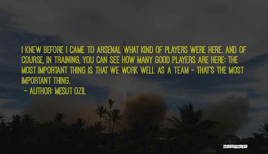 Mesut Ozil Quotes: I Knew Before I Came To Arsenal What Kind Of Players Were Here. And Of Course, In Training, You Can