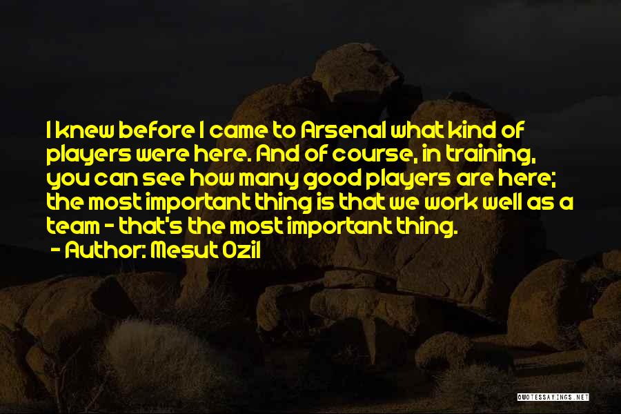 Mesut Ozil Quotes: I Knew Before I Came To Arsenal What Kind Of Players Were Here. And Of Course, In Training, You Can