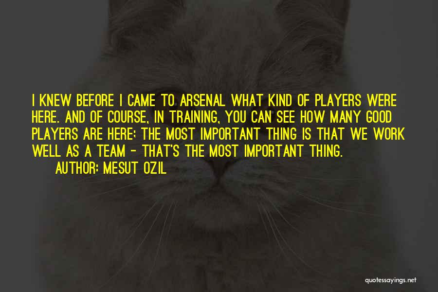 Mesut Ozil Quotes: I Knew Before I Came To Arsenal What Kind Of Players Were Here. And Of Course, In Training, You Can