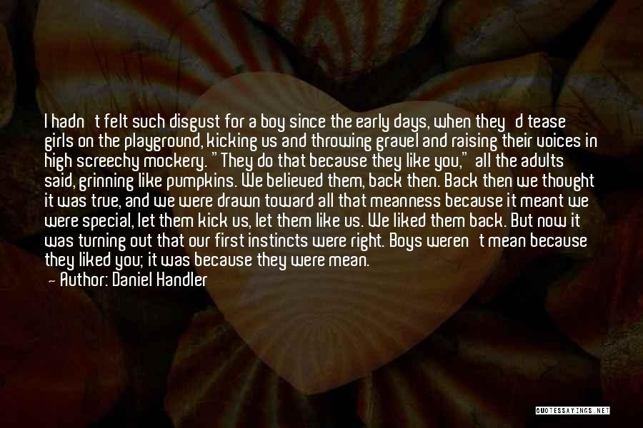 Daniel Handler Quotes: I Hadn't Felt Such Disgust For A Boy Since The Early Days, When They'd Tease Girls On The Playground, Kicking