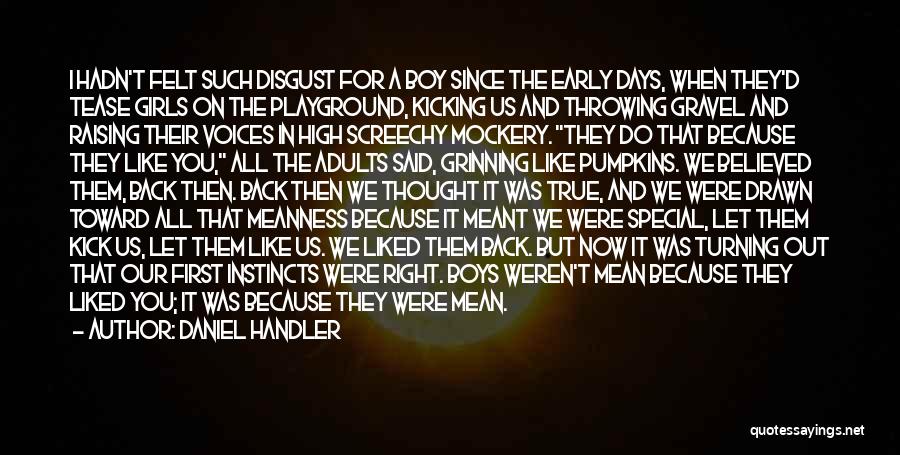 Daniel Handler Quotes: I Hadn't Felt Such Disgust For A Boy Since The Early Days, When They'd Tease Girls On The Playground, Kicking