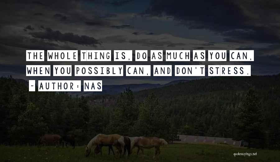 Nas Quotes: The Whole Thing Is, Do As Much As You Can, When You Possibly Can, And Don't Stress.