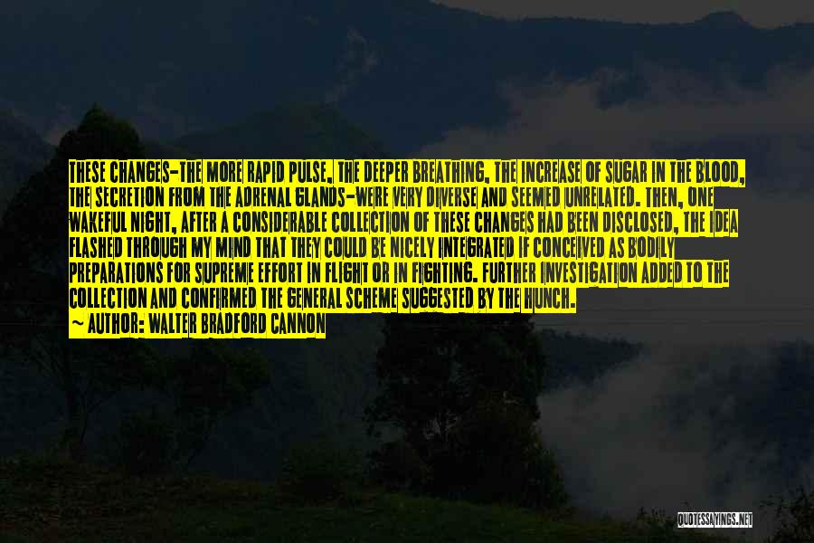 Walter Bradford Cannon Quotes: These Changes-the More Rapid Pulse, The Deeper Breathing, The Increase Of Sugar In The Blood, The Secretion From The Adrenal