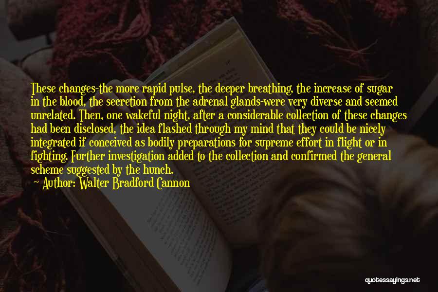 Walter Bradford Cannon Quotes: These Changes-the More Rapid Pulse, The Deeper Breathing, The Increase Of Sugar In The Blood, The Secretion From The Adrenal