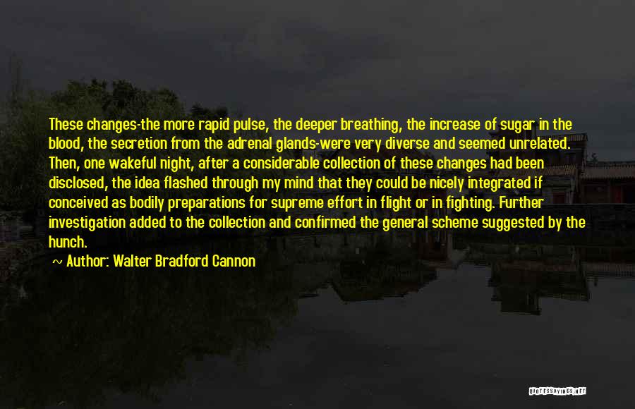 Walter Bradford Cannon Quotes: These Changes-the More Rapid Pulse, The Deeper Breathing, The Increase Of Sugar In The Blood, The Secretion From The Adrenal