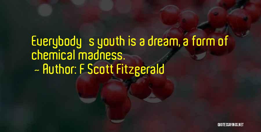 F Scott Fitzgerald Quotes: Everybody's Youth Is A Dream, A Form Of Chemical Madness.