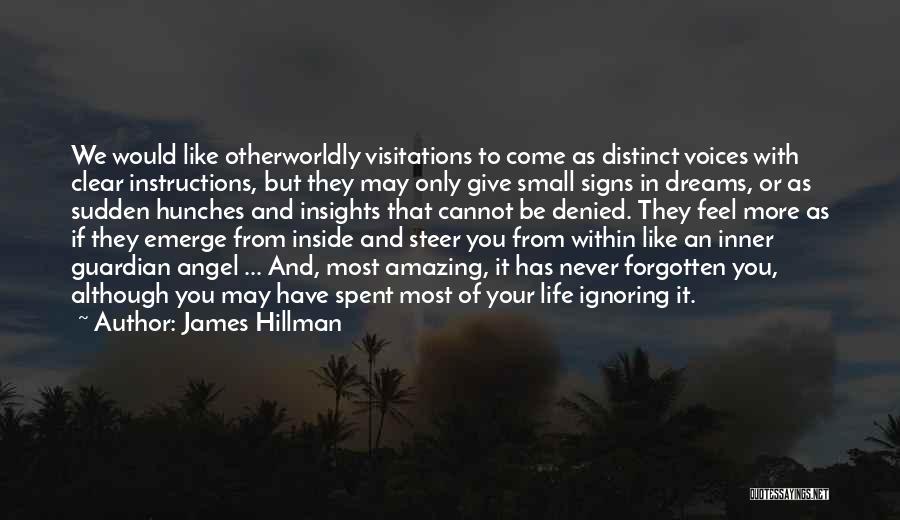 James Hillman Quotes: We Would Like Otherworldly Visitations To Come As Distinct Voices With Clear Instructions, But They May Only Give Small Signs