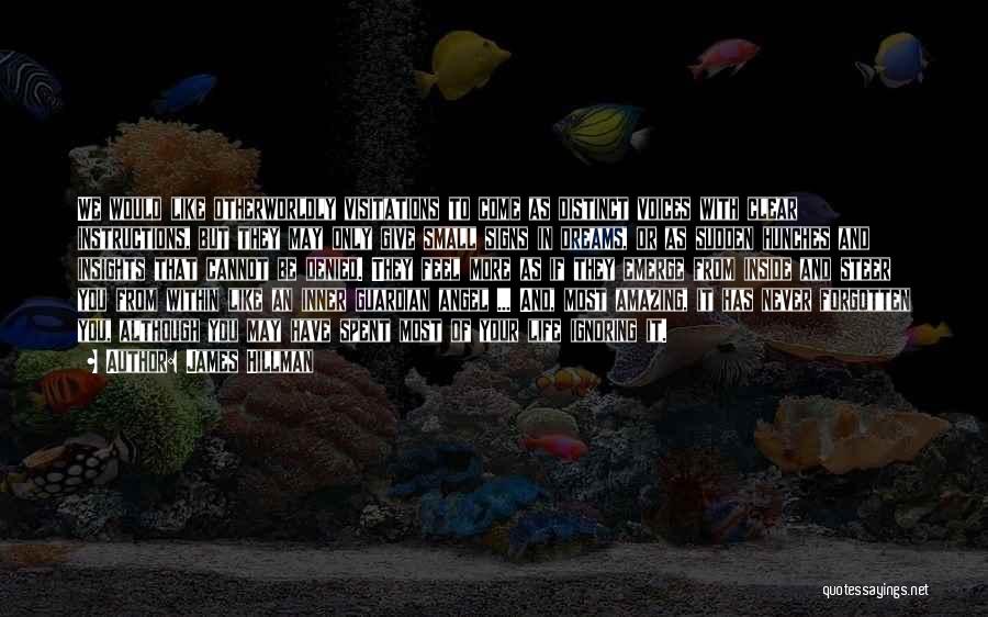 James Hillman Quotes: We Would Like Otherworldly Visitations To Come As Distinct Voices With Clear Instructions, But They May Only Give Small Signs