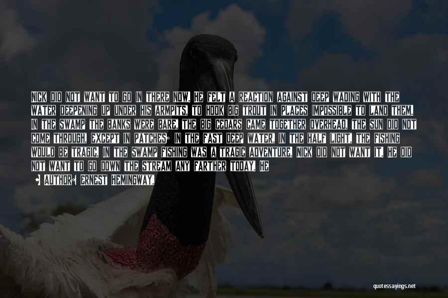 Ernest Hemingway, Quotes: Nick Did Not Want To Go In There Now. He Felt A Reaction Against Deep Wading With The Water Deepening