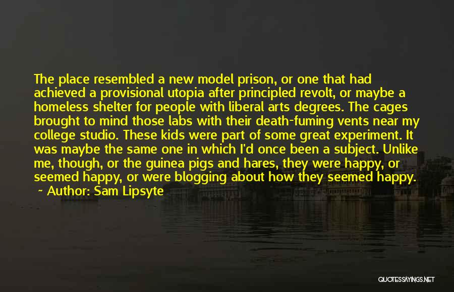 Sam Lipsyte Quotes: The Place Resembled A New Model Prison, Or One That Had Achieved A Provisional Utopia After Principled Revolt, Or Maybe