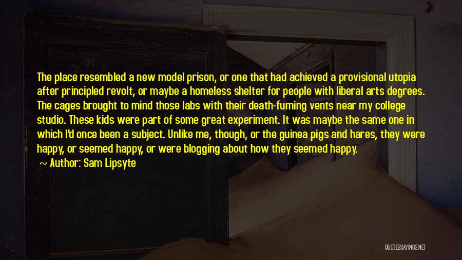 Sam Lipsyte Quotes: The Place Resembled A New Model Prison, Or One That Had Achieved A Provisional Utopia After Principled Revolt, Or Maybe