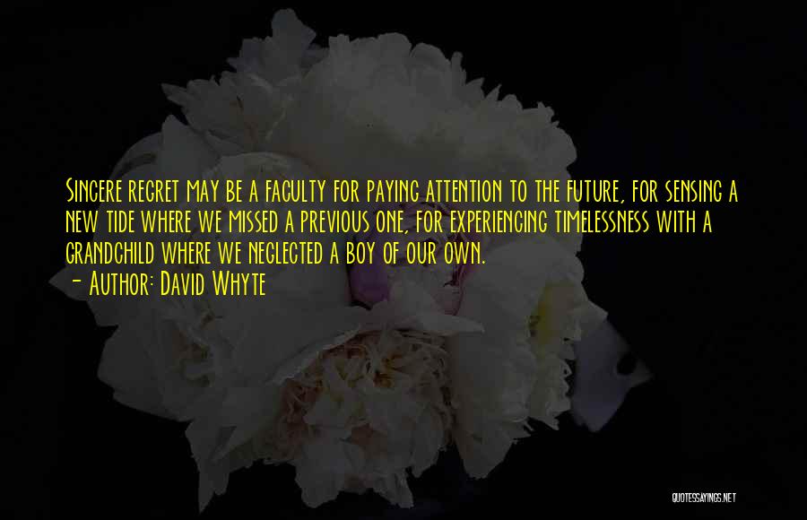 David Whyte Quotes: Sincere Regret May Be A Faculty For Paying Attention To The Future, For Sensing A New Tide Where We Missed