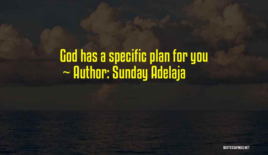 Sunday Adelaja Quotes: God Has A Specific Plan For You
