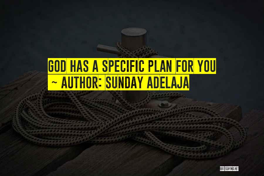 Sunday Adelaja Quotes: God Has A Specific Plan For You