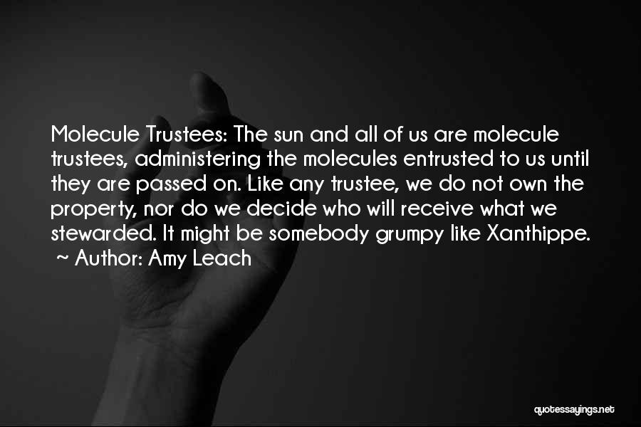 Amy Leach Quotes: Molecule Trustees: The Sun And All Of Us Are Molecule Trustees, Administering The Molecules Entrusted To Us Until They Are