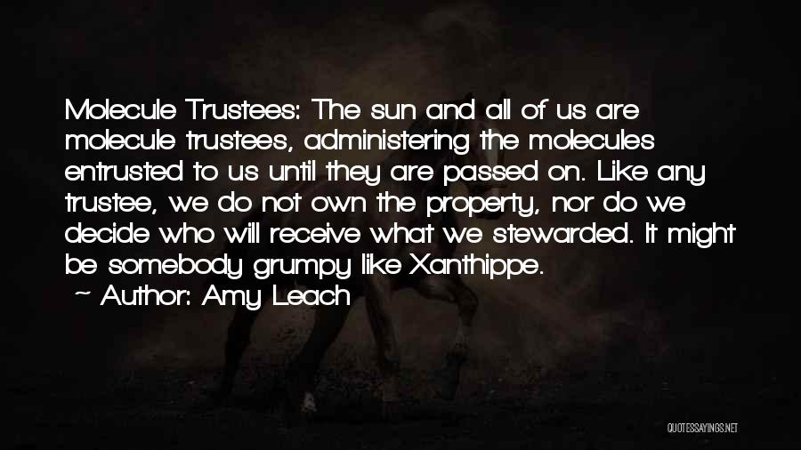 Amy Leach Quotes: Molecule Trustees: The Sun And All Of Us Are Molecule Trustees, Administering The Molecules Entrusted To Us Until They Are