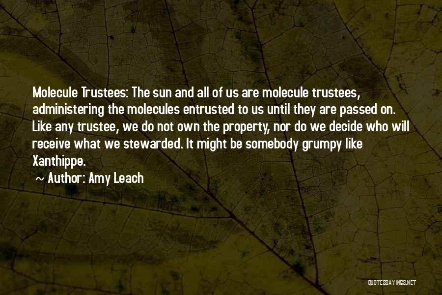 Amy Leach Quotes: Molecule Trustees: The Sun And All Of Us Are Molecule Trustees, Administering The Molecules Entrusted To Us Until They Are