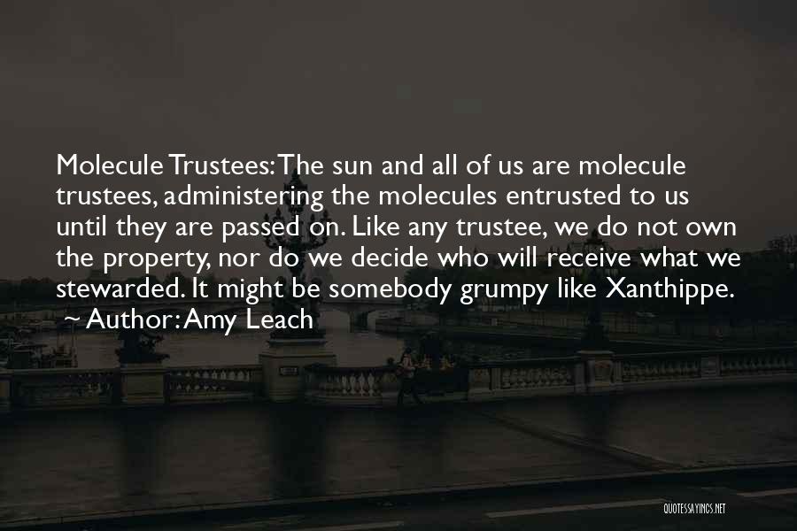 Amy Leach Quotes: Molecule Trustees: The Sun And All Of Us Are Molecule Trustees, Administering The Molecules Entrusted To Us Until They Are