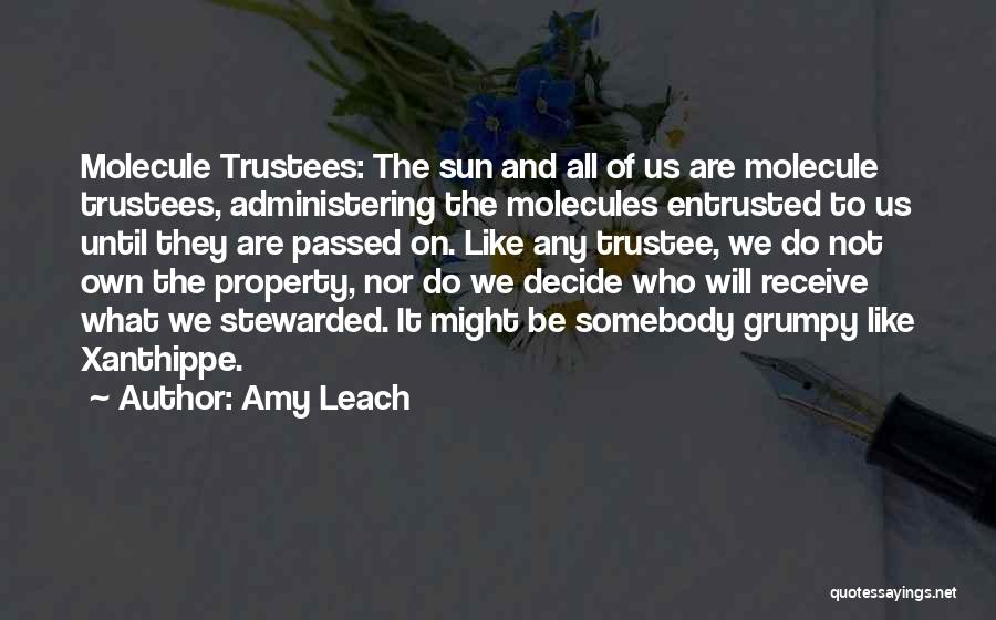 Amy Leach Quotes: Molecule Trustees: The Sun And All Of Us Are Molecule Trustees, Administering The Molecules Entrusted To Us Until They Are