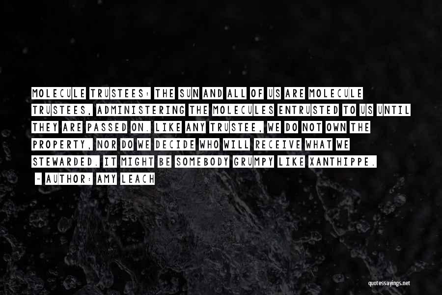 Amy Leach Quotes: Molecule Trustees: The Sun And All Of Us Are Molecule Trustees, Administering The Molecules Entrusted To Us Until They Are