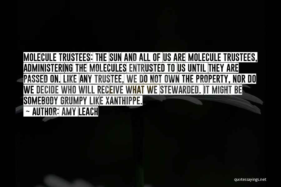 Amy Leach Quotes: Molecule Trustees: The Sun And All Of Us Are Molecule Trustees, Administering The Molecules Entrusted To Us Until They Are